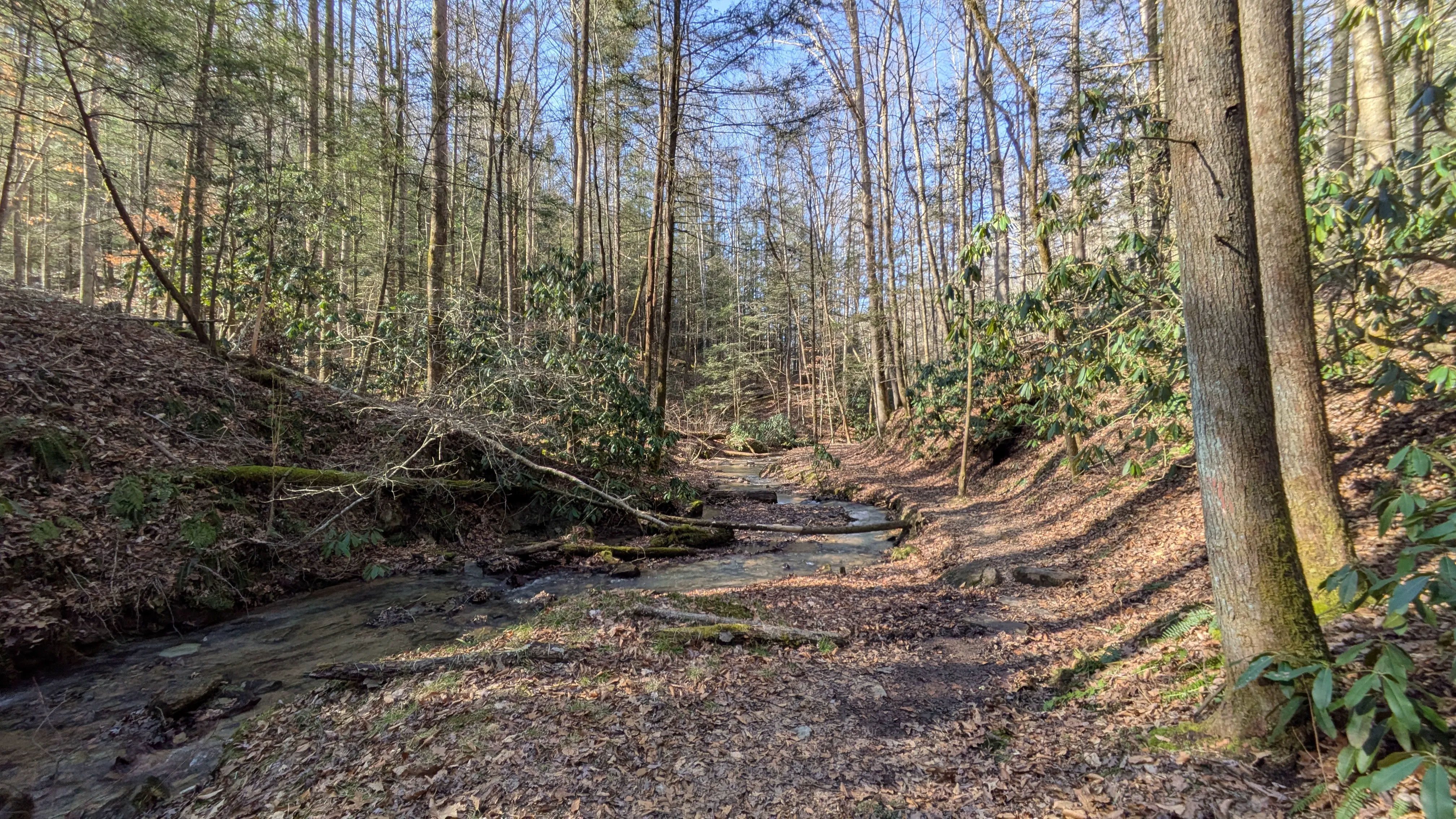 I hiked 12 miles, but never got my pizza